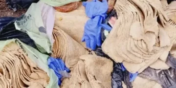 Vendía milanesas, pero descubrieron que eran de papel higiénico