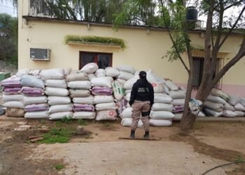 Secuestraron 7800 kilos de poroto en General Ballivián