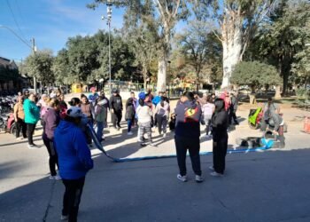 Alternativas de solución a los puesteros