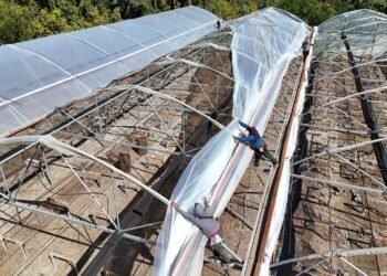 Remodelan el Invernadero Municipal