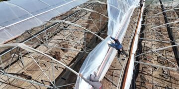 Remodelan el Invernadero Municipal