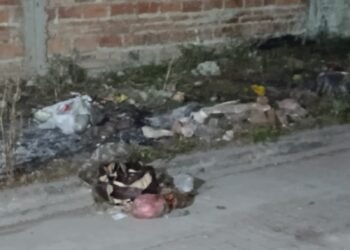 Siguen los reclamos por los microbasurales