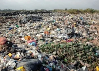 Amparo ambiental colectivo contra la Municipalidad de Colonia Santa Rosa