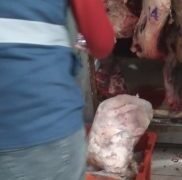 Vendía carne en mal estado y fue detectado por la Policía