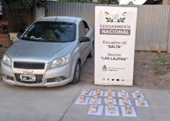 Partieron de Orán traficando 14 kilos de cocaína