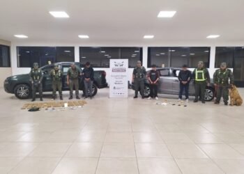 Traficaban 43 kilos de cocaína dentro de los paneles laterales de la caja de una camioneta