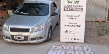 Partieron de Orán traficando 14 kilos de cocaína