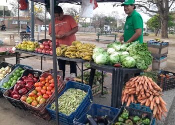 Hoy jueves feriazo de la UTT en la Plaza Santa Marta
