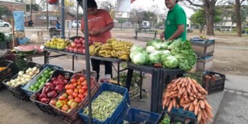 Hoy jueves feriazo de la UTT en la Plaza Santa Marta