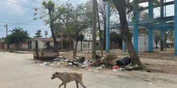 Mas reclamos por la basura en las calles de Orán