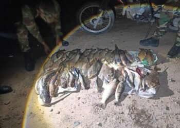 La Policía Rural infraccionó a pescadores en Pichanal