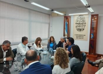 Flavia Royón: “Desfinanciar a la UNSa es condenar el futuro de Salta”