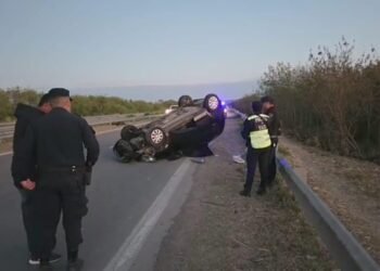 Accidente en la Ruta 50: Un auto chocó una vaca