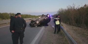 Accidente en la Ruta 50: Un auto chocó una vaca