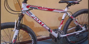 Robó una bicicleta de una vivienda y fue demorado