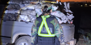 La Policía incautó un cargamento de 1000 kilos de carbón vegetal ilegal 