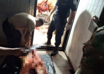 Secuestraron más de 200 kilos de carne no apta para el consumo