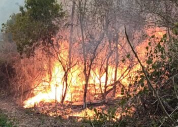 Tolerancia cero ante los incendios intencionales