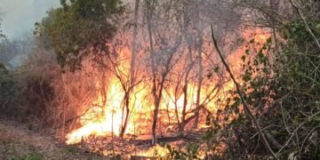 Tolerancia cero ante los incendios intencionales