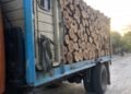 Incautaron un cargamento de madera con documentación irregular