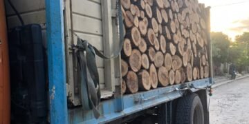Incautaron un cargamento de madera con documentación irregular
