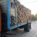 Incautaron un cargamento de madera con documentación irregular