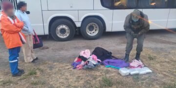 Pasajera traficaba 4 kilos de marihuana en su equipaje