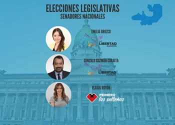 Orozco, Guzmán Coraita y Royón son los nuevos Senadores por Salta
