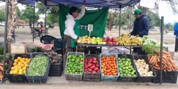 Hoy verdurazo de la UTT en Plaza Santa Marta