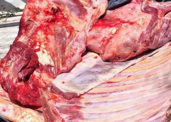 Secuestraron 150 kilos de carne no apta para el consumo humano