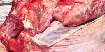 Secuestraron 150 kilos de carne no apta para el consumo humano
