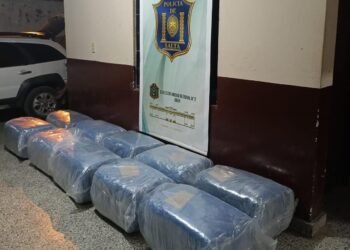 Secuestraron más de 250 kilos de hoja de coca en Hipólito Yrigoyen