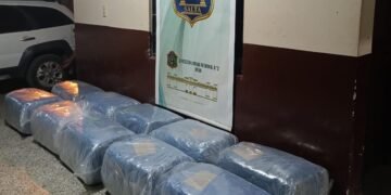 Secuestraron más de 250 kilos de hoja de coca en Hipólito Yrigoyen