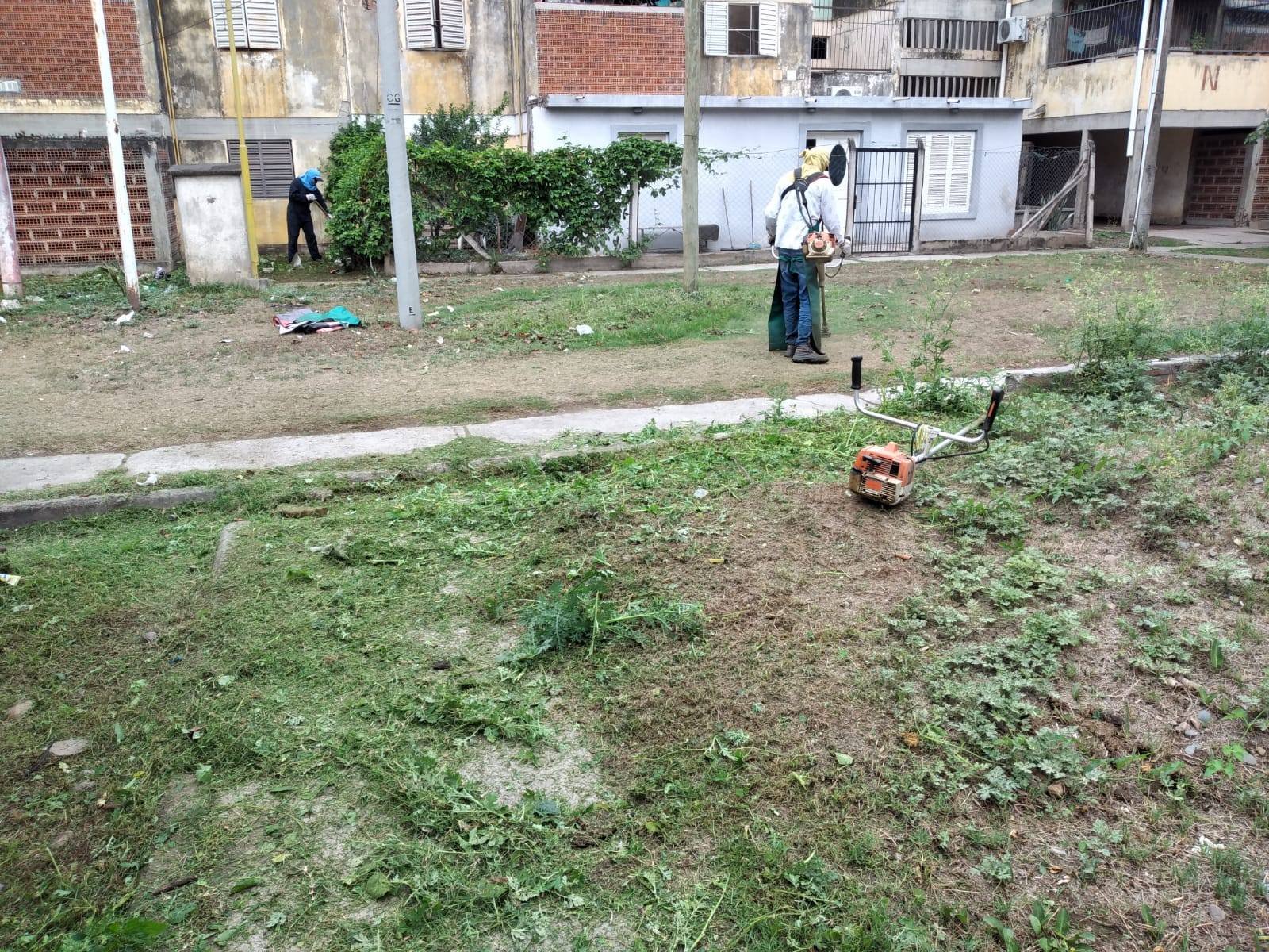 Operativo de limpieza en el Barrio 402 Viviendas - Radio Ciudad Oran