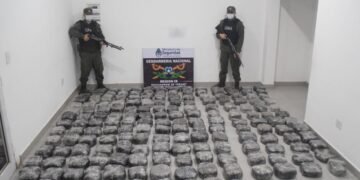 Descartaron bultos con 187 kilos de marihuana y 672 kilos de hojas de coca