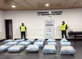 Incautaron 361 kilos de marihuana en la frontera con Chile