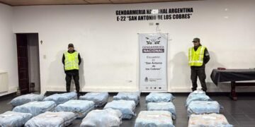 Incautaron 361 kilos de marihuana en la frontera con Chile