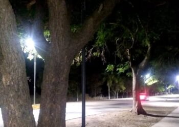 Robaron luminarias del Paseo del Bicentenario