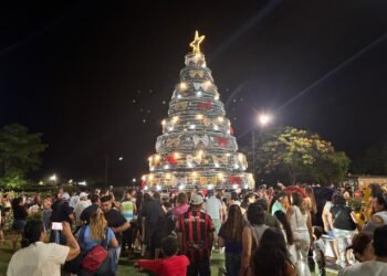 Encendieron las luces del arbolito de navidad en el acceso sur