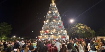 Encendieron las luces del arbolito de navidad en el acceso sur