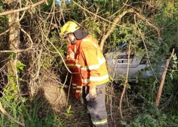 Esquivó un bache en la Ruta 50 y terminó en el monte