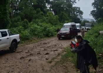 Se encuentra cortado el camino a Isla de Cañas