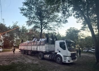 Gendarmería secuestró más de 4 toneladas de hojas de coca