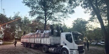 Gendarmería secuestró más de 4 toneladas de hojas de coca