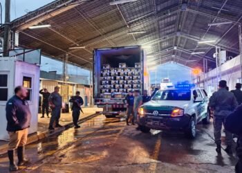 Traficaba 50 kilos de cocaína entre cargamento de bananas