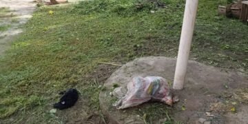 Limpieza y desmalezado en el Comedor del Barrio Libertad