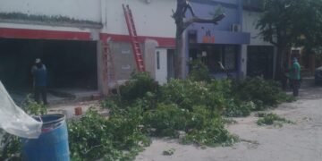 Vecinos denuncian una poda indiscriminada en el centro de Orán