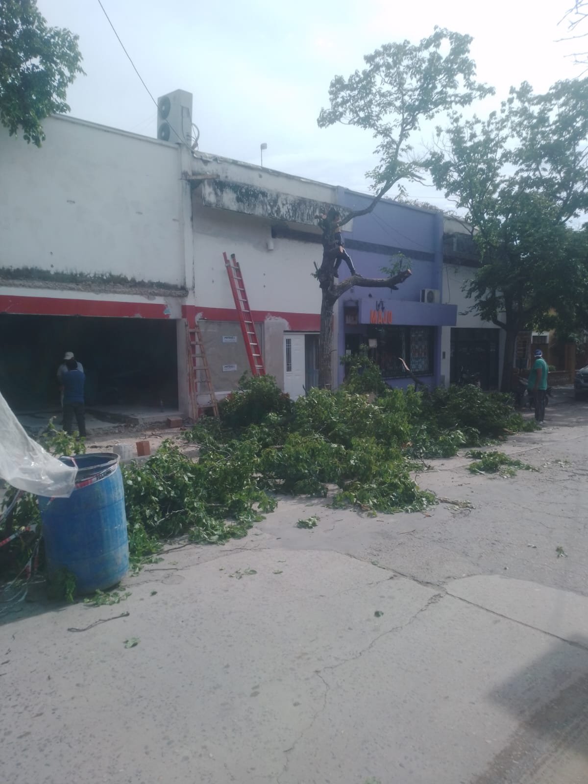 Vecinos denuncian una poda indiscriminada en el centro de Orán - Radio ...
