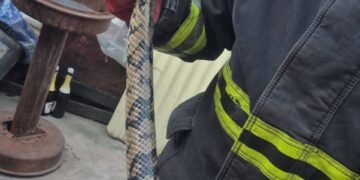 Bomberos retiraron una lampalagua de un domicilio