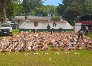 Traficaban 31 kilos de cocaína ocultos en cajones con berenjenas